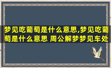 梦见吃葡萄是什么意思,梦见吃葡萄是什么意思 周公解梦梦见车处在悬崖边缘